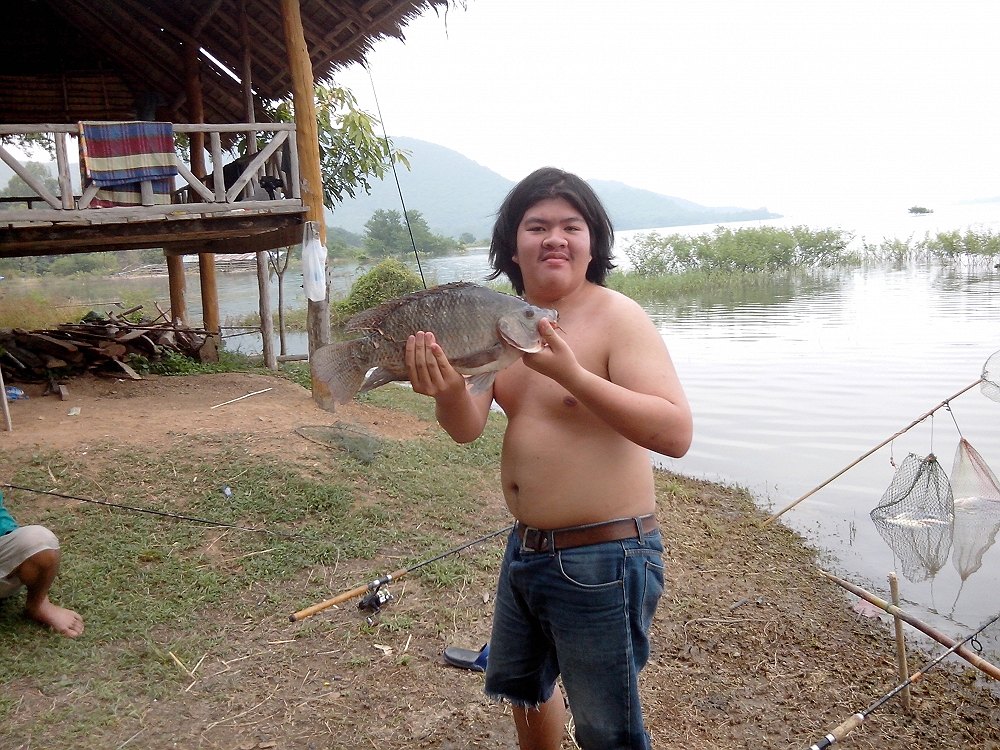 ปลานิลอีกและ