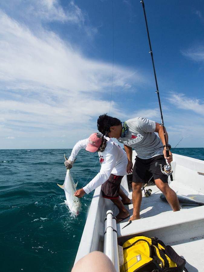 Sportfishing ไม่มีฉมวก ใช้ถุงมือครับ ไกด์ตกปลาที่นี่ส่งเสริม Catch & Release ครับ :grin: