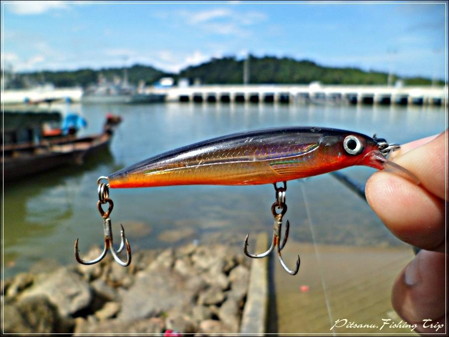 
 [center]เอาเป็นว่า...............เลือกเหยื่อตัวนี้มาใช้ก่อนเลยครับ RAPALA X-RAP 4 สี G [/center]