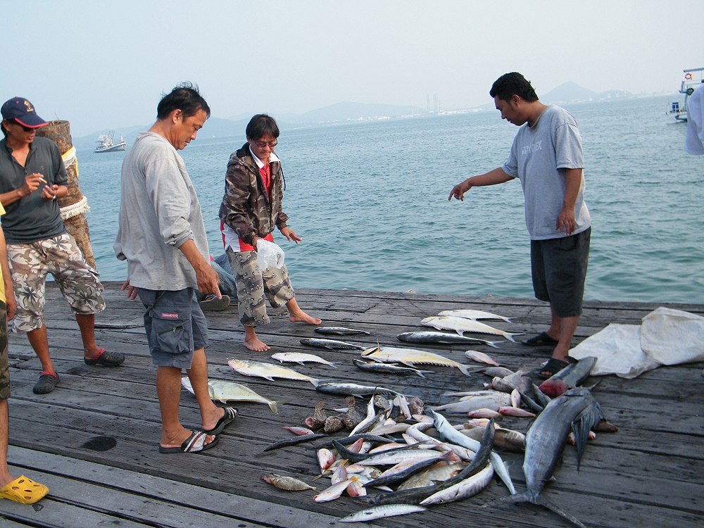 นโยบายของทีมงานตู่แฮงเกอร์แมนคือทุกคนได้ปลากลับบ้านครับ  :cool: