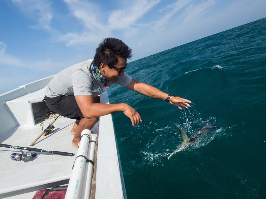 :cheer: :cheer: :cheer: :cheer: :cheer:[center]Catch and Release เพื่อวันข้างหน้า
เราทิ้งฝูงกระมงไว