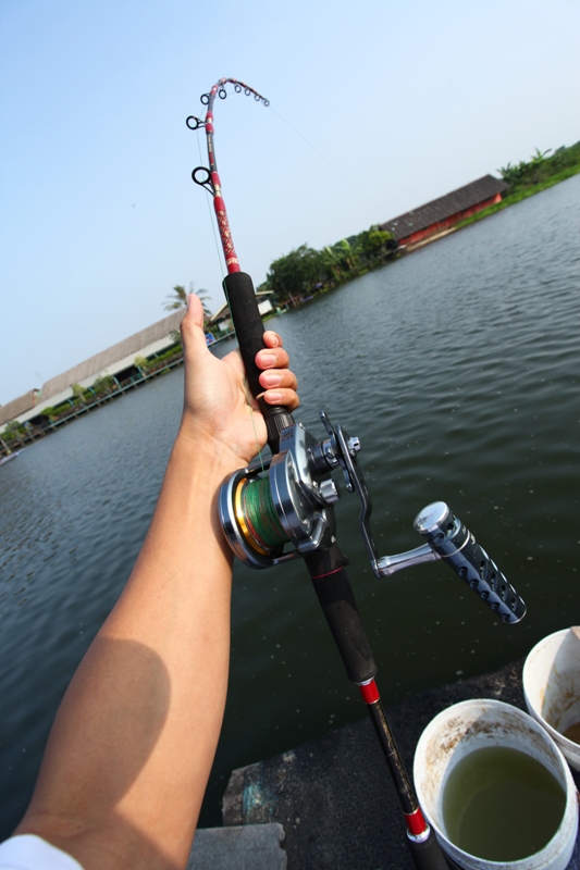 มาดูอุปกรณ์วันนี้ครับ เป็นชุดเล่นเบาๆไม่โหด

คัน :    JM Three Kings L  PE3-6 
รอก :  Shimano Jig