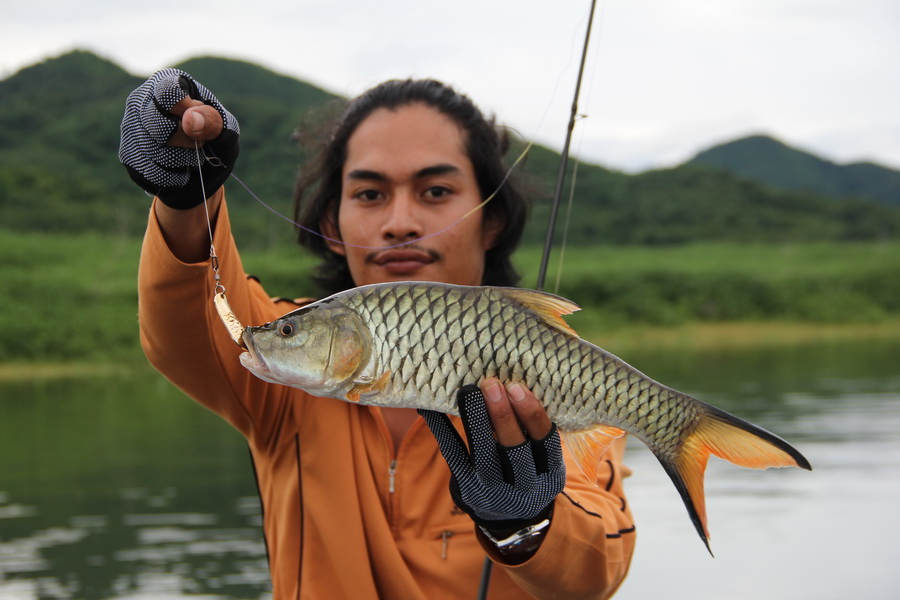 สรุปว่าวันนั้นผมได้ปลามาหลายตัวแต่ก็ไม่ได้เอากับมาเลยครับ..

เพราะเดียว จะไม่มีให้ผมกับเพื่อนๆ ตกก