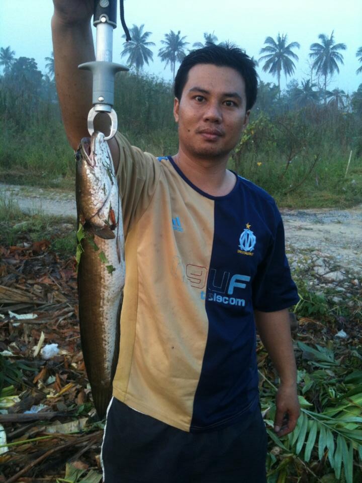 ซ้ำหมายเดิม เช้าเย็น กับsnakehead angler club