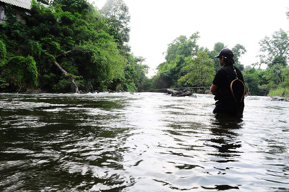 .......... Ultra Light ลำธารกระสูบป่า บนภูเขา (The Forest Of Mountain Stream)...