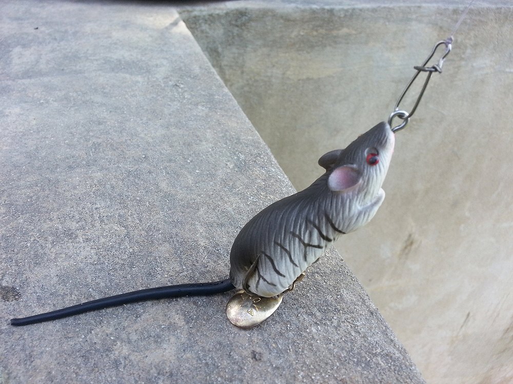 กระสุนสำหรับออกศึก....น่ารักฝุด ฝุด :love: :love: :love: