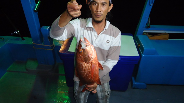 เอาชัดๆ