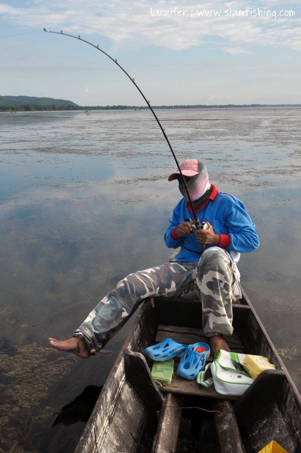 ถึงหมาย ; ผมโดนปลากัดเหยื่อตั้งแต่เรือยังไมทันจอด โดนกัดไม่โดน กัดหลุด ไป 4-5 หน

แต่ตัวแรกเป็นของ