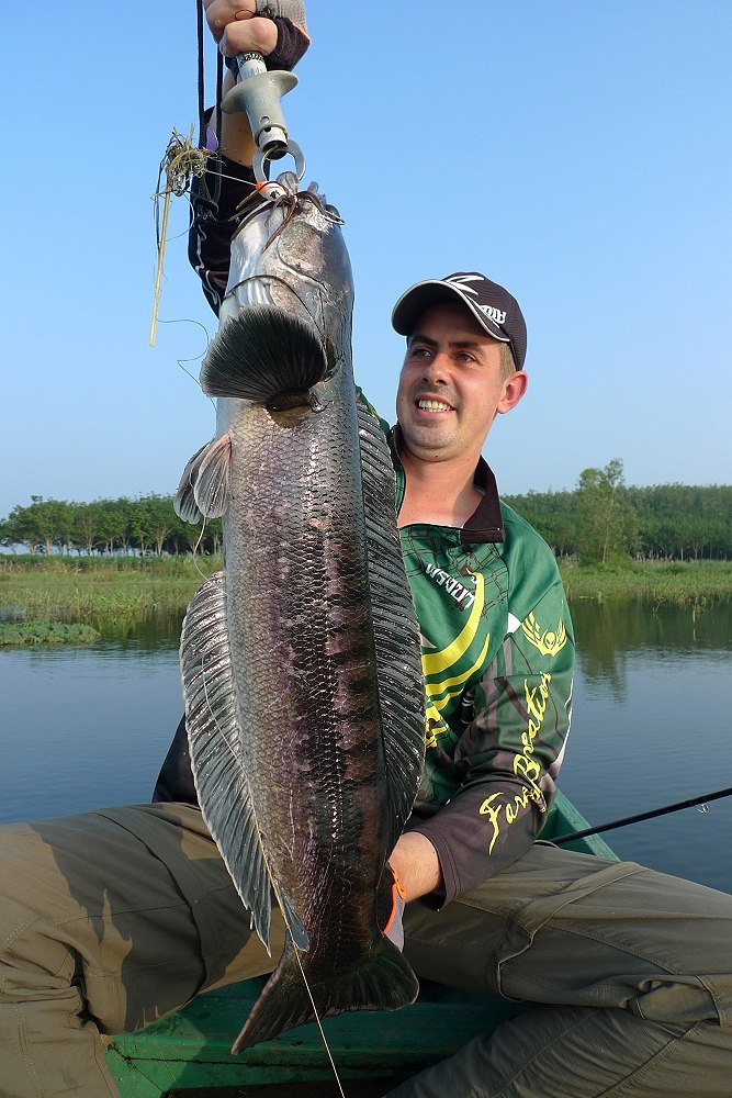 ###Farang Ba Snakehead Fishing Thailand###