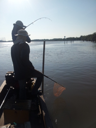 หลังจากยกหางเรือขึ้นพร้อมกับเบ็ดคันอื่นแล้ว ทีนี้ ผมเอากล้องมาไล่เก็บภาพถ่ายครับ  ปลากระโดด ขึ้นน้ำเ