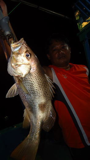 โดนอังเกยไซด์ใหญ่