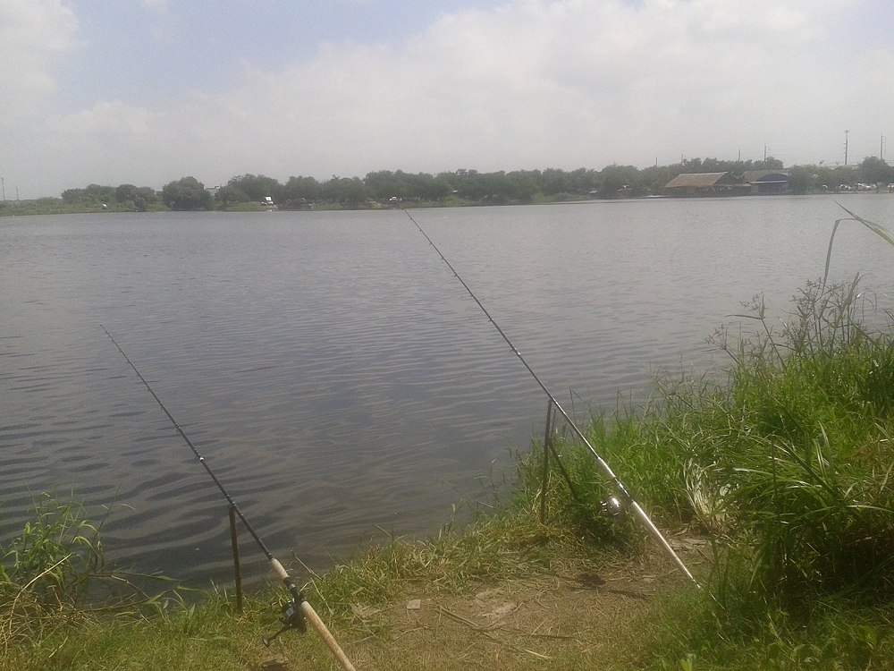 สถานที่ เหมาะดีตรงนี้ จะมีตัวไหมนะ