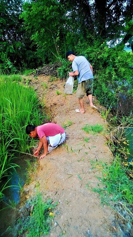 เร่งๆมือเข้า มันเริ่มจะมองเหล่ๆคนถ่ายและ
ไม่ช่วยรัยเลย :smile: :laughing: :laughing: :laughing: