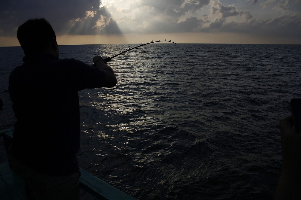 เรารอกันที่หมายเดิมจนเช้า
เมื่อแสงแรกแห่งวันเริ่มสาดส่องเราก็ช่วยกันหาเหยื่อลูกปลาเป็นเพื่อ
ลอยปลา