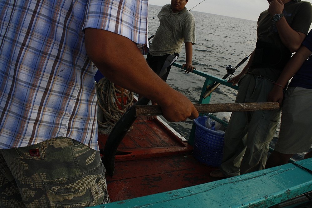 เมื่อมันเข้ามาใกล้ท้ายเรืออยู่ในระยะคมตะขอของไต๋ณรงค์มันก็ถูกเกี่ยวขึ้นเรือทันทีและถูกสยมด้วยไม้ในมื