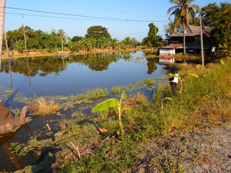 นักสำรวจที่เราส่งไป เริ่มทำการสำรวจแล้วครับ ... แต่แดดมันก็เริ่มแรงขึ้นทุกทีเหมือนกัน....จะไหวไม่นะน