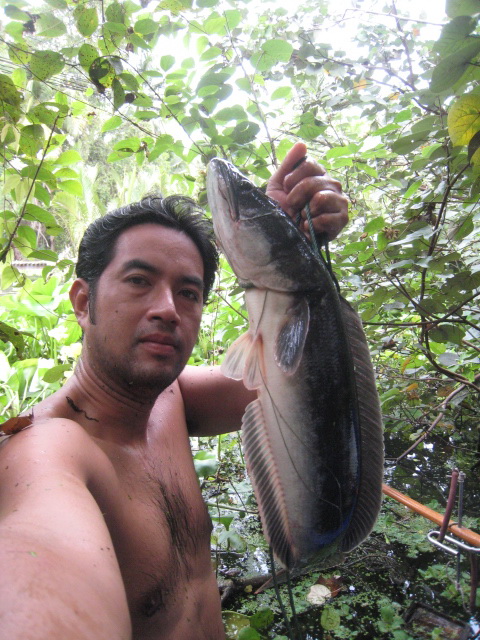 ...มุดตามสายในกอ ต้นไม่ เข้ากอผักตบ สุดท้ายก็เจอตัว... :grin: :grin: :grin: :grin: :grin: :grin: