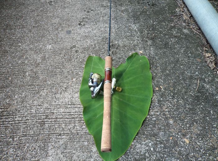 วันนี้ใช้คันนี้  SHIMANO CARDIFF Wt.4-10 lb length 6'6 ครับ