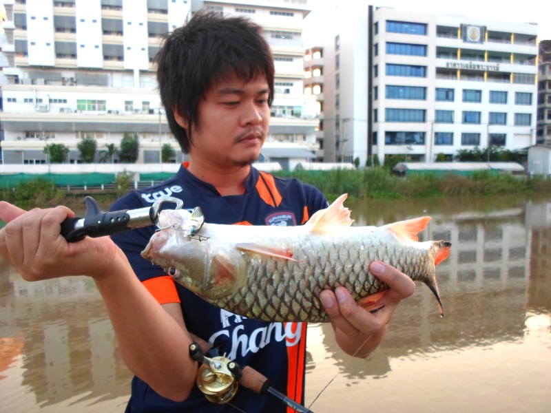 [q][i]อ้างถึง: ultrazen posted: 08-11-2556, 10:50:34[/i]

แจ่มเลย กับเด็ก เ มื อ ง สุ พ ร ร ณ ด้วย