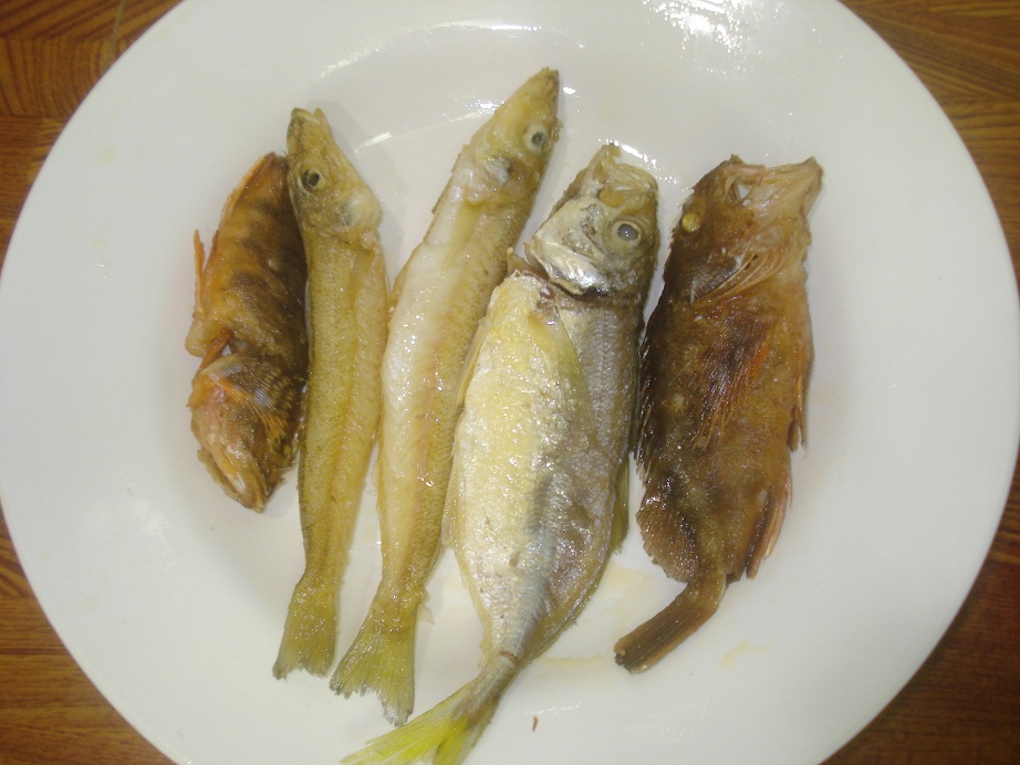 ดูฝีมือครับ ทอดไม่เป็น เมื้อนี้กินกับข้าวต้มกุ้ยครับ :umh: