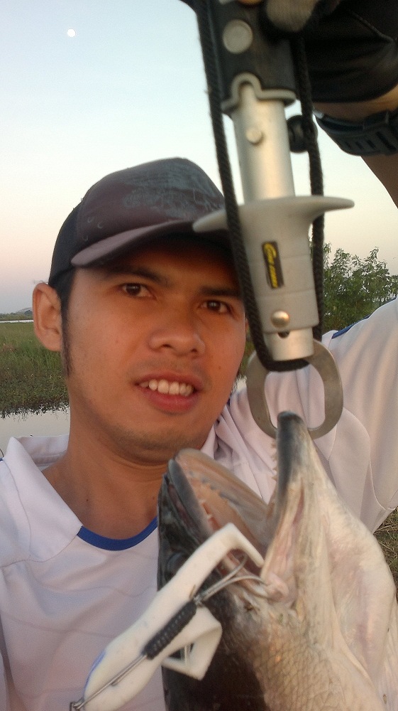 จ้าวบัวขาว