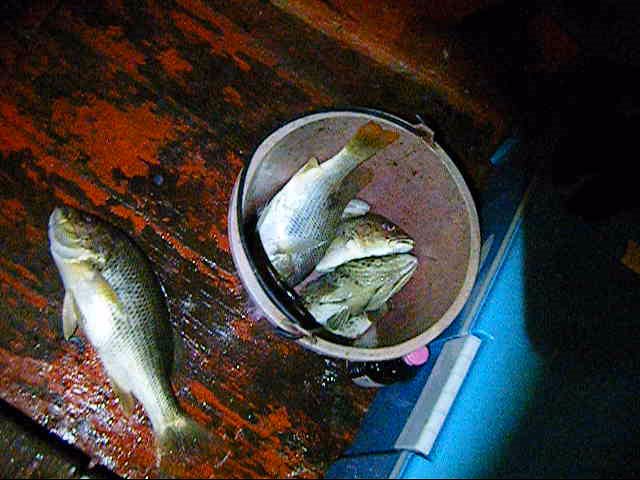 มาโจมตีกันแล้วด้านหัวเรือ ผมเลยจัดการซะเลย 