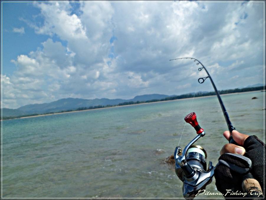 
 [center]ตัวนี้ผมส่งเหยื่อสุดไม้ แล้วสับๆๆๆ เหยื่อ Micro Jig  มาไม่ถึงเมตร ก็ปรึกๆ............วี๊ด