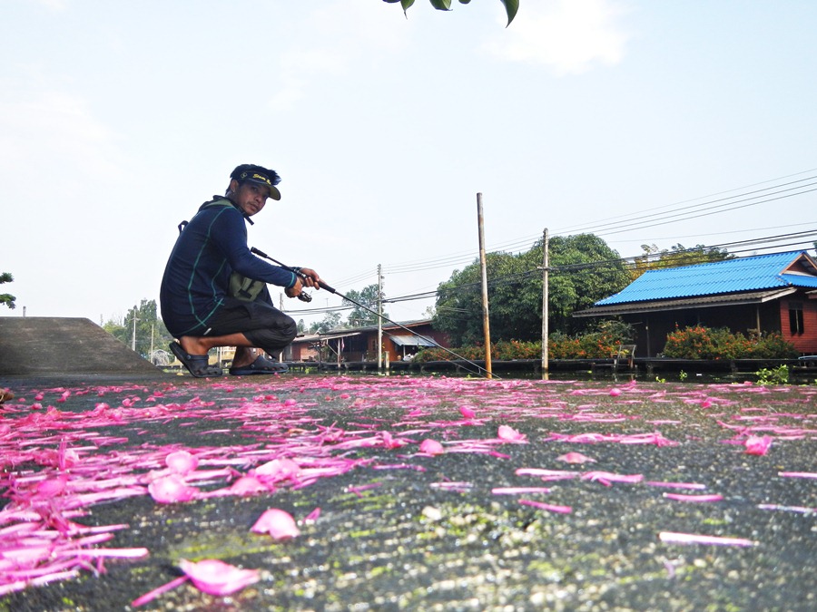 จบ...แล้ว คัฟ กับ ทริฟ  [b]Finnn..แบบนี้ต้องที่นี่ "คลองดำเนิน" ( U - L Hampala Ban Phaeo ) [/b] ส