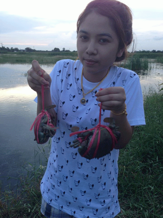 แห้วปลา แต่ได้ปูครับ :flag: :flag: :flag: :flag: :flag: :flag: :flag:
