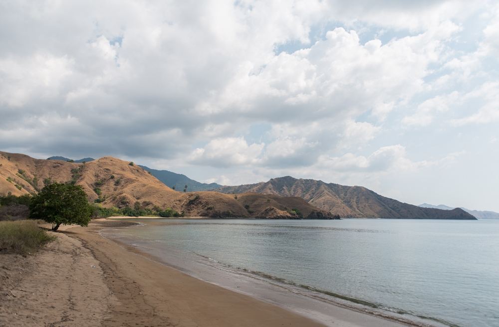 ภาพ..Lanscape ของเกาะ Komodo นะคราบ..