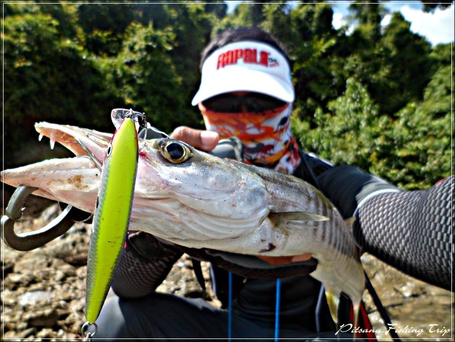 
 [center]เหยื่อ RAPALA FLAT RAP  ตัวนี้ก็เป็นเหยื่อที่ใช้ได้ง่ายมากๆครับ
 แค่ตีไปแล้วกรอกลับมาเรื