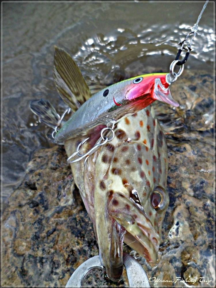 
 [center]RAPALA FLAT RAP 8  ตัวเดิมเลยครับ[/center]