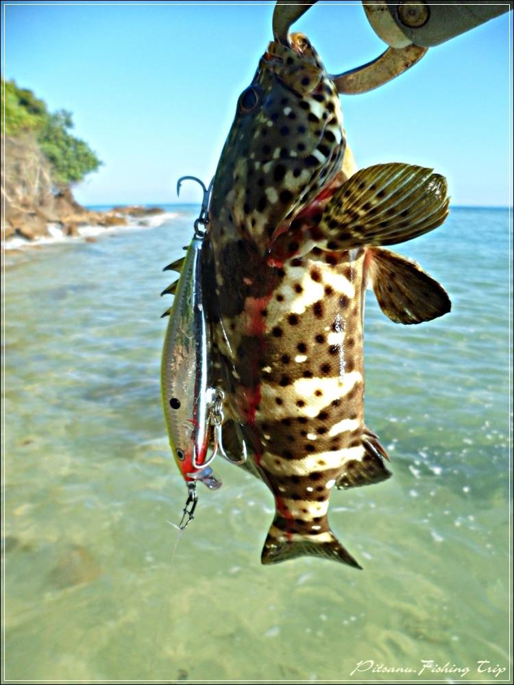 
 [center]ผมว่าเหยื่อ  RAPALA  FLAT RAP  เหมาะมากกับหมายแบบนี้ สำหรับผม[/center]