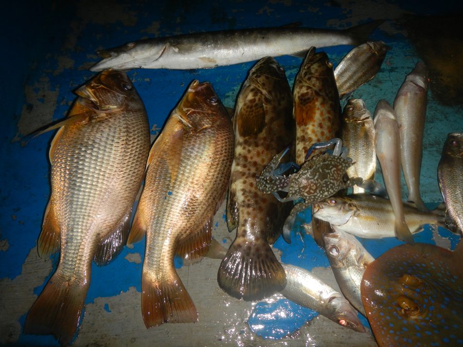ประมาณ  5  ทุ่มครับน้ำเปลี่ยนบอกน้าพตว่าทะเลพอน้ำเปลี่ยนแล้วปลาไม่กิน  จะกินอีกทีก็ตี  4 ตี  5 โน่นแ