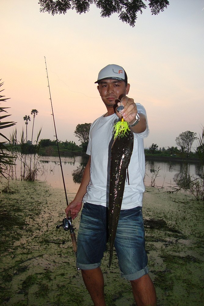 อ่าวมาได้ไง ว่าจะไม่ตกแล้วน่ะอดใจไม่ได้จริงๆ เอา Battle bait LF ไปแกว่งน้ำเล่นโดนเลย...++++ :laughin
