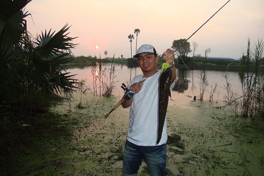 อ่าวมาได้ไง ว่าจะไม่ตกแล้วน่ะอดใจไม่ได้จริงๆ เอา Battle bait LF ไปแกว่งน้ำเล่นโดนเลย...++++ :laughin