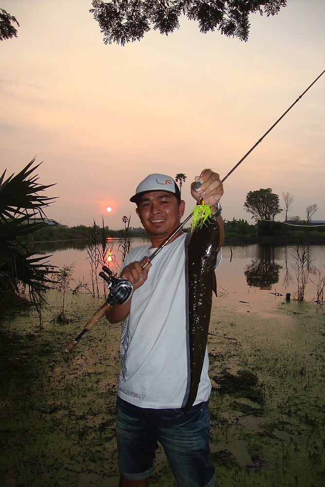 อ่าวมาได้ไง ว่าจะไม่ตกแล้วน่ะอดใจไม่ได้จริงๆ เอา Battle bait LF ไปแกว่งน้ำเล่นโดนเลย...++++ :laughin