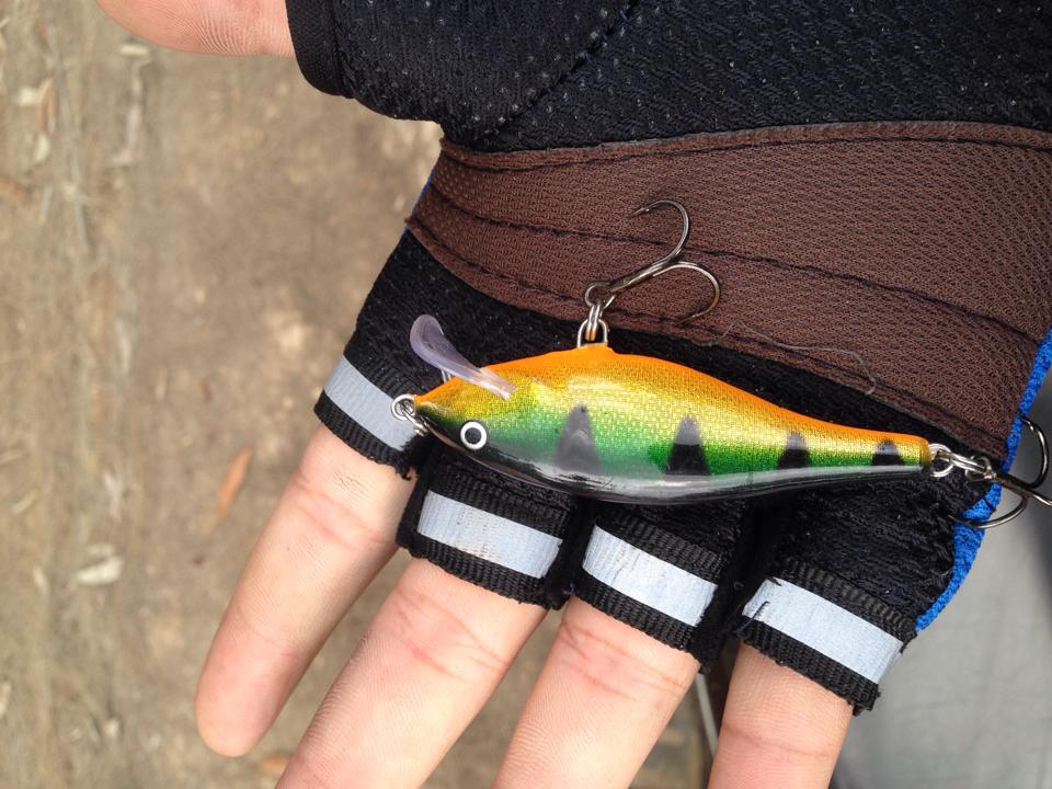 จัดเจ้าตัวนี้ล่ะกัน......       RAPALA SCATTER RAP SHAD " :grin: :grin: :grin: :grin: :grin: