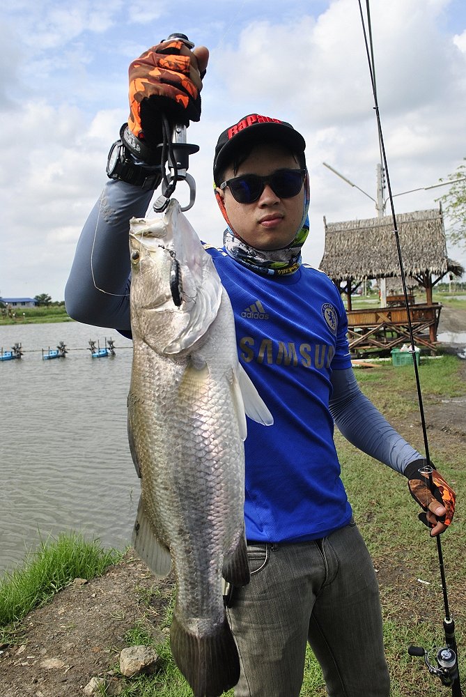 นำไปเท่าไรแล้วหว้าเนี่ย

จะตามทันป่าว  คนละตัวกับตัวบนนะครับ

