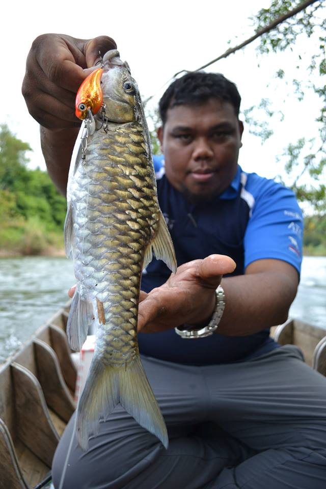 อยู่บนเรือแอบซุ่ม