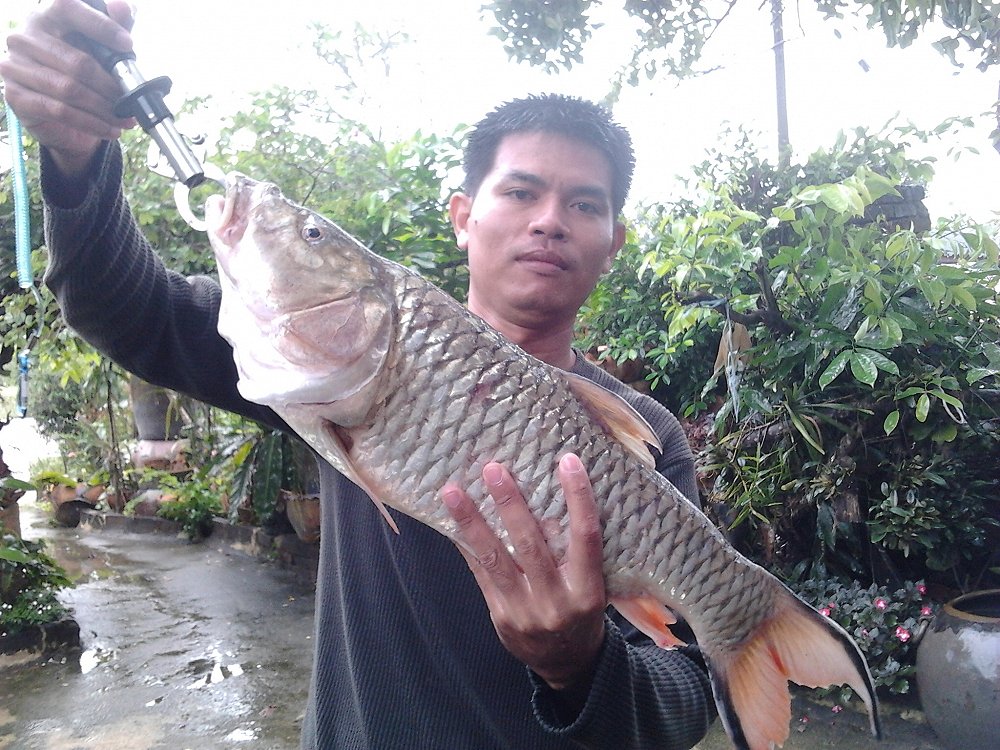 ทริปสั้นกับวันฝนตกพรำๆกับโทรฟี่