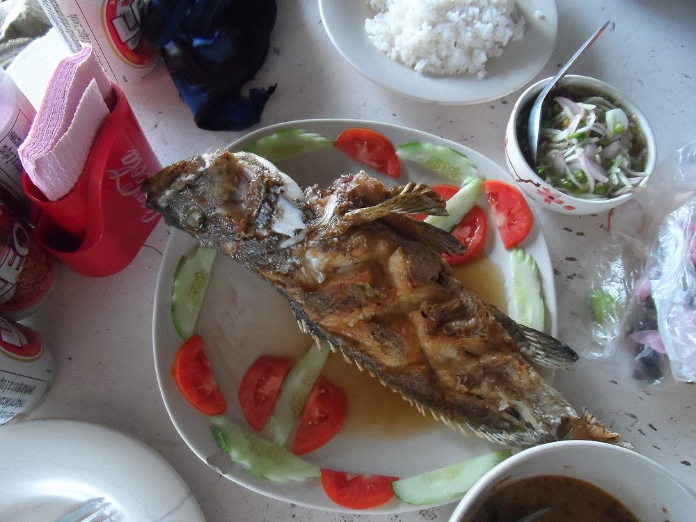  [center]แว๊ะกินข้าวที่ร้านข้างทางขากลับ ให้แม่ครัว ทำปลาเก๋าทอดราดน้ำปลา อร่อยเลยทีเดียวครับ สุดท้า