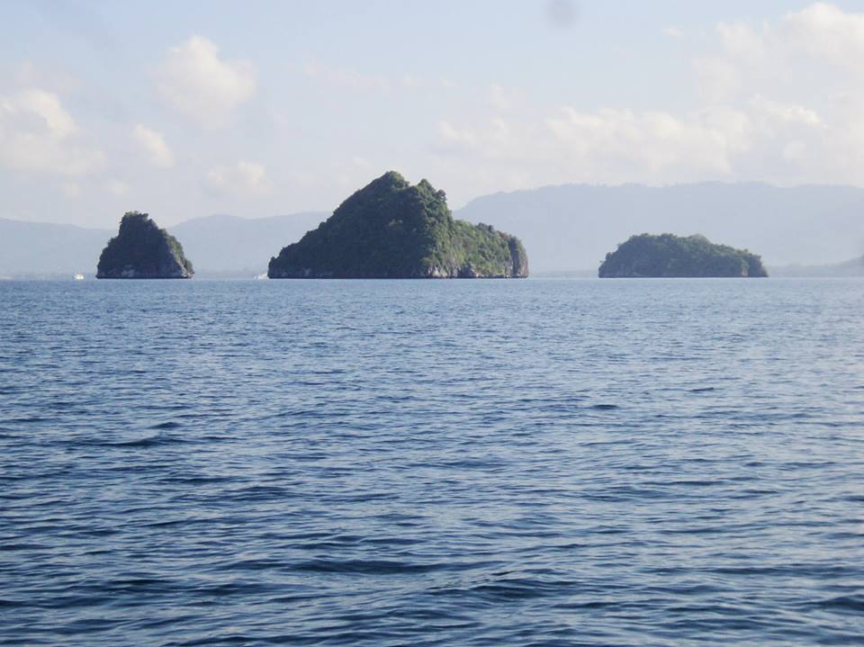 รวมทริปตกปลาของปี 56 ที่เกาะสมุย และแถวหมู่เกาะอ่างทอง 