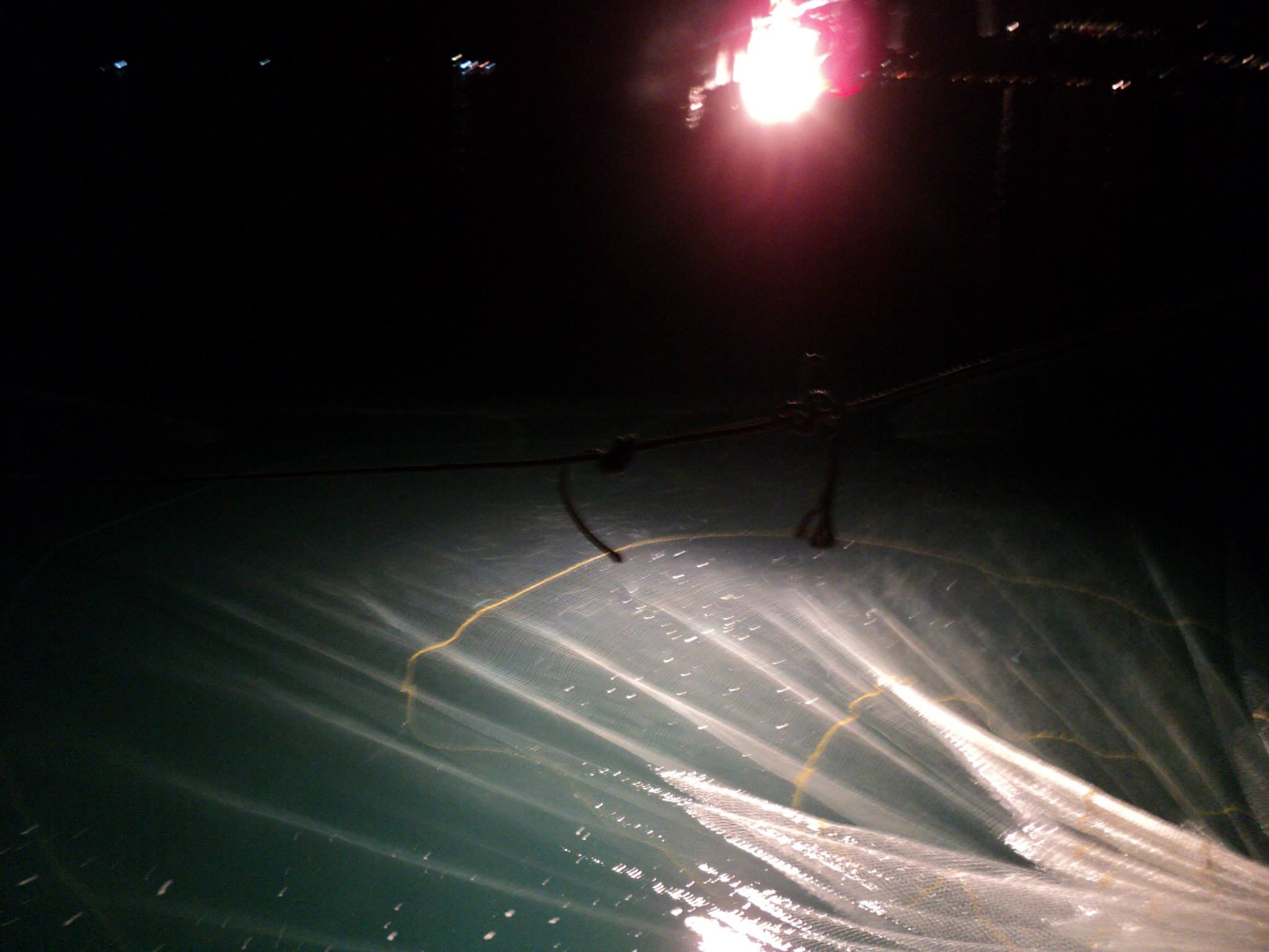 วิ่งเรือออกมาไม่นานเราก็ทำการปั่นไฟหาปลาหมึกเพื่อที่จะเอามาทำเหยื่อตกปลาคับ