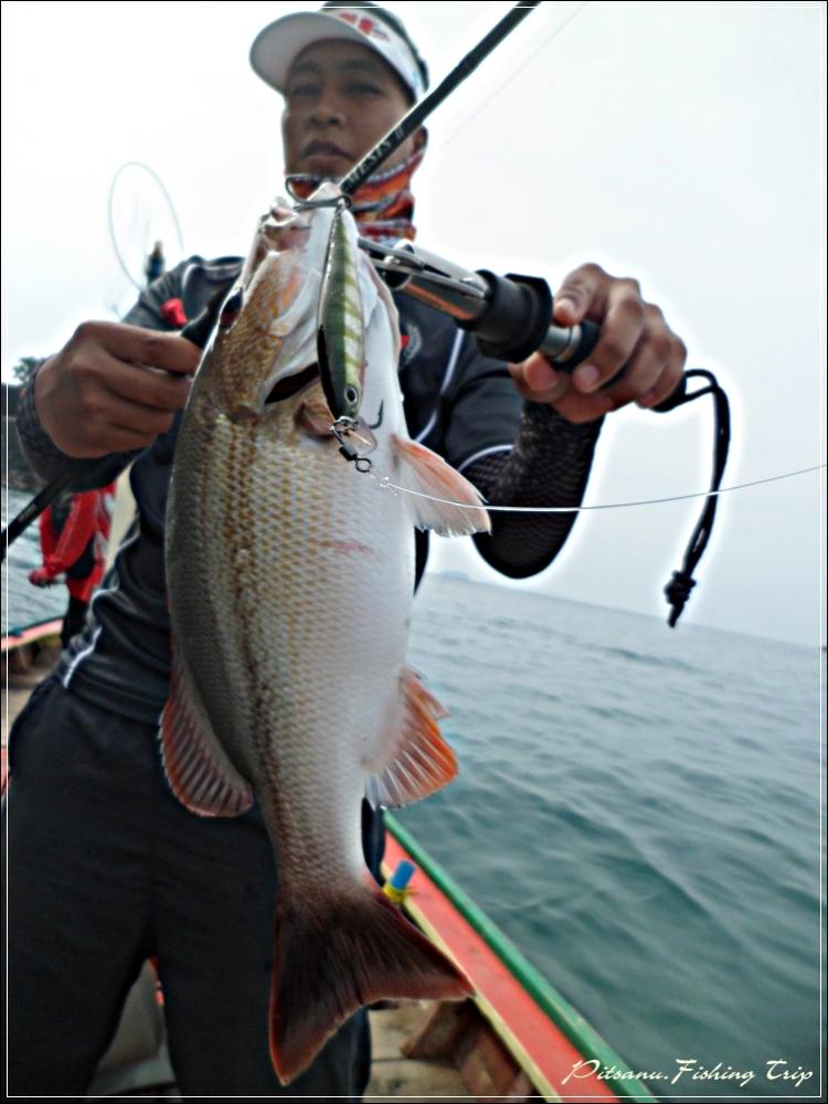 
 [center] เหยื่อ  RAPALA BX MINNOW 10  สี  YP [/center]