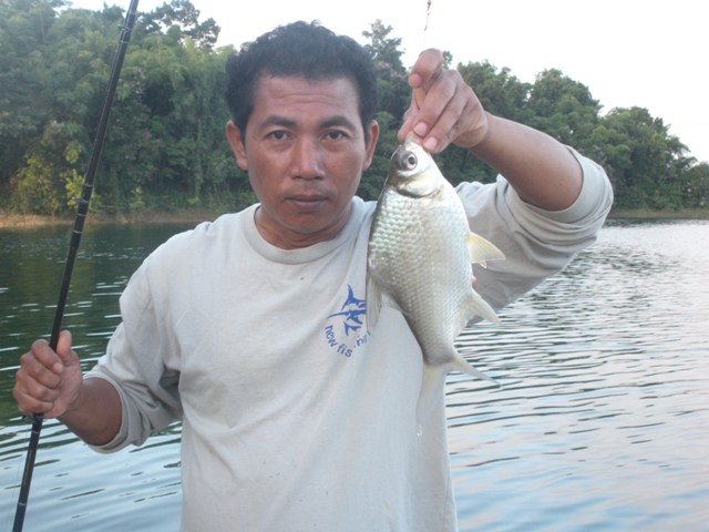 ธรรมดาคับในน้ำมีปลาคับ