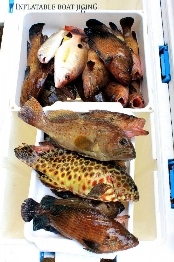 ปลาที่คัดขนาดแล้ว นำกลับมาทำกิน เฉพาะลำเรือยางของผมและน้องชัย ถือว่าพอได้สนุกครับทริปนี้ 

ไว้ตามช
