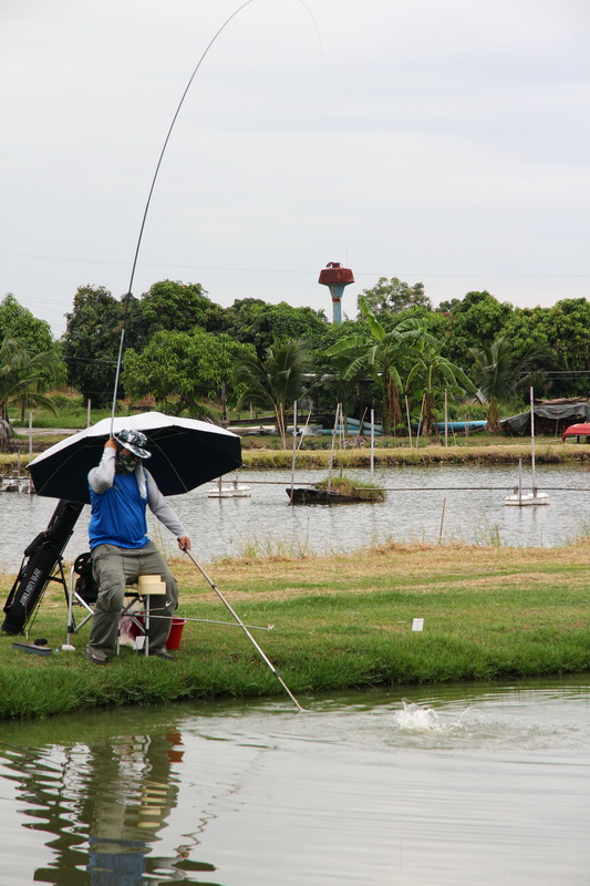 แต่ก็มีปลาเข้าบ้างนานๆตัวให้ได้ช่างพอไม่ให้กรรมการง่วง :laughing: