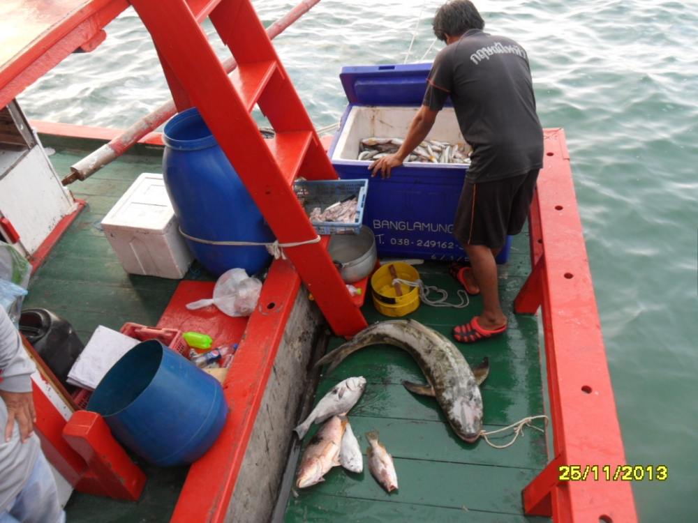 ไต๋ถอนสมอเดินทางกลับจากเกาะไผ่เวลาประมาณ 14.00 น. ถึงท่าเรือสะพานอ่าวอุดมเวลา 17.30 น. โดยประมาณ
