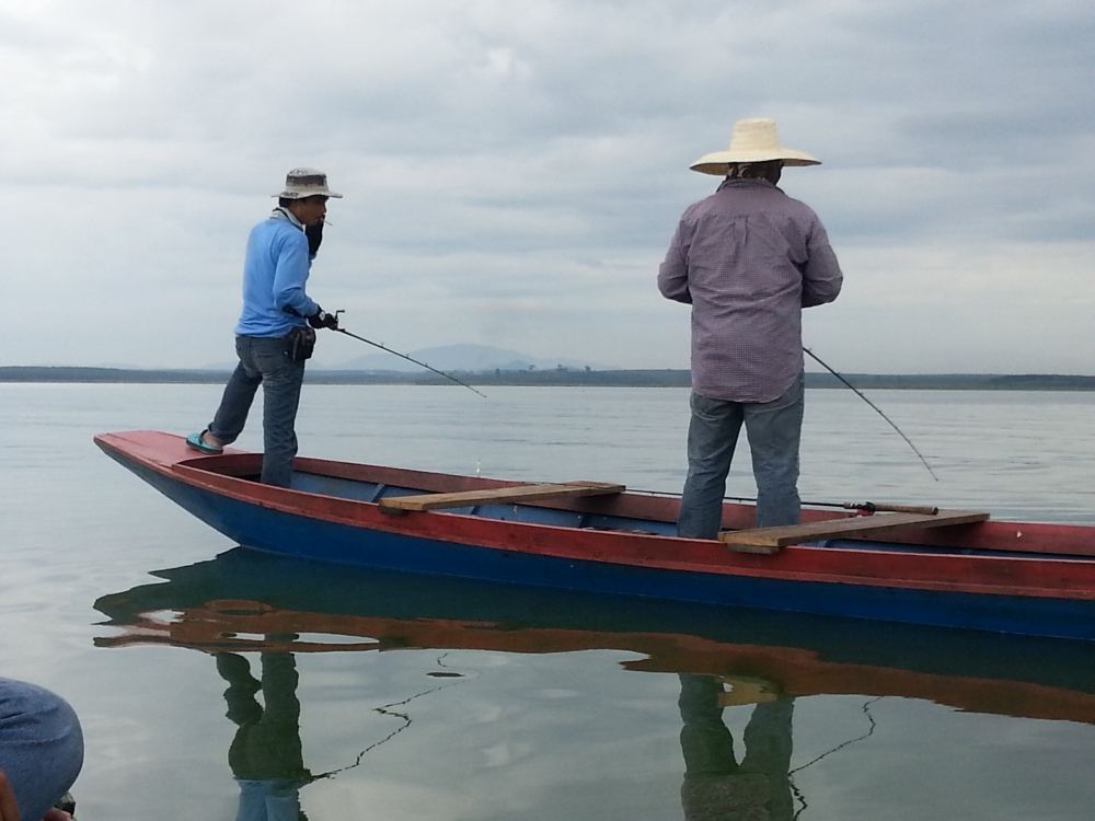 พอจอดเรือได้สอบถามว่าทำอะไรกันครับ เสียงตอบกลับมาตีปลาจิบครับ จิบข้างๆคอกนะ อ่าวซะงั้น ไล่ตั้งแต่ในป